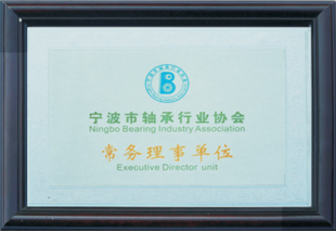 Ningbo Wanshun Rulman Co, Ltd